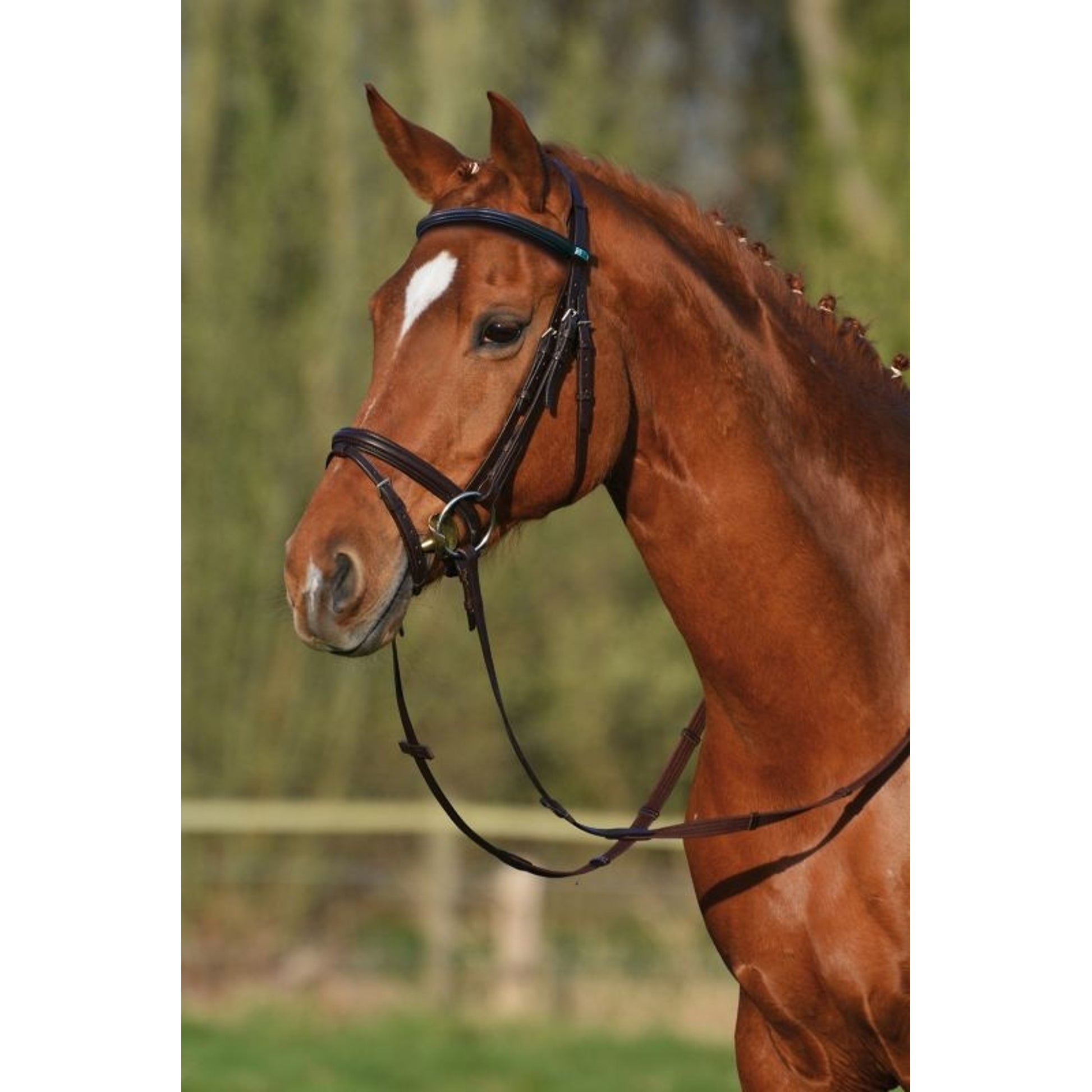 Stubben RFS Leitrim Bridle