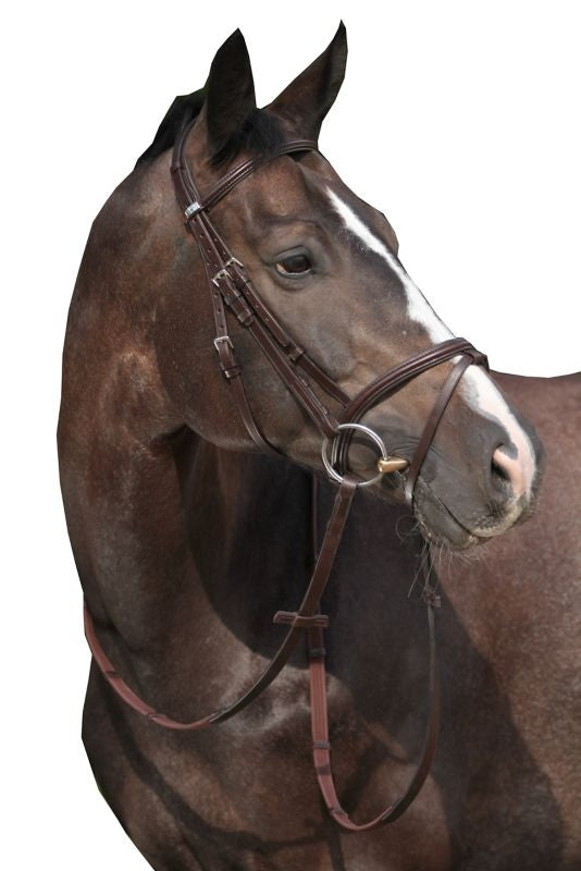 Stubben RFS Leitrim Bridle