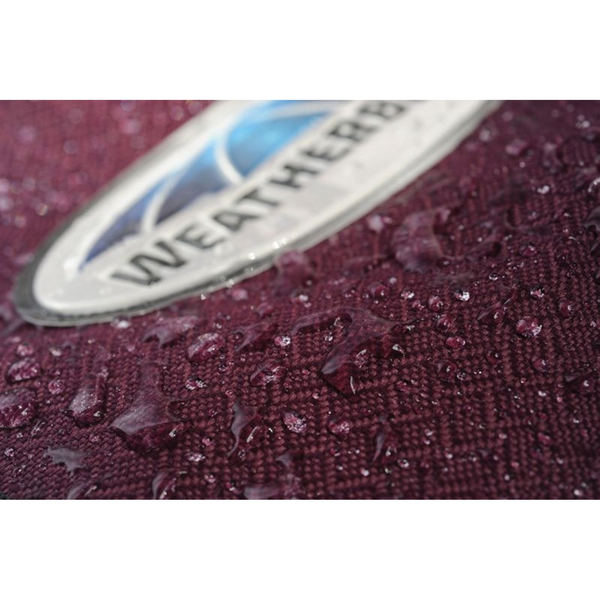 WeatherBeeta Plus Dynamic DAN Med