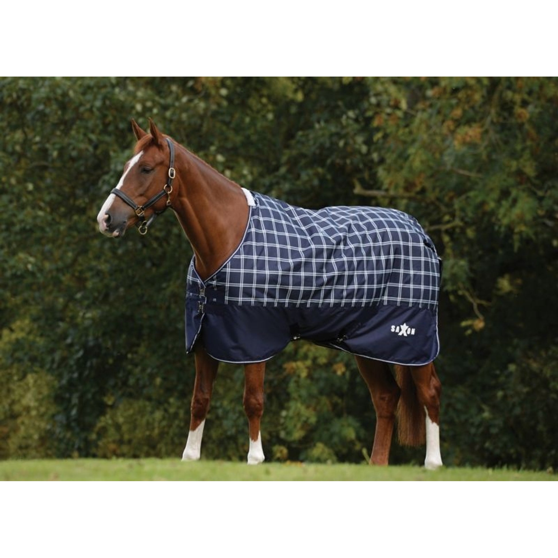 Saxon Defiant 600D Lite Sheet