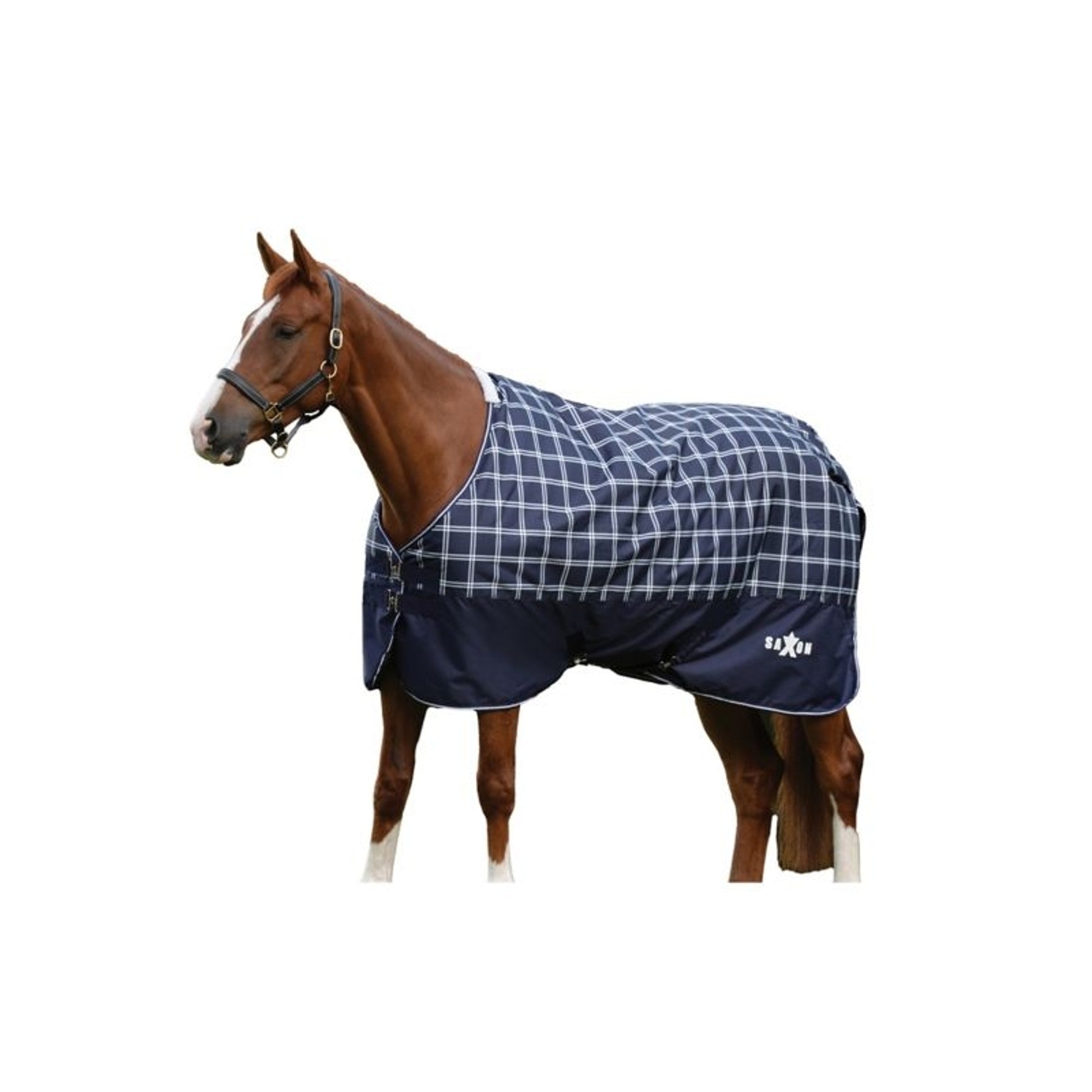 Saxon Defiant 600D Lite Sheet