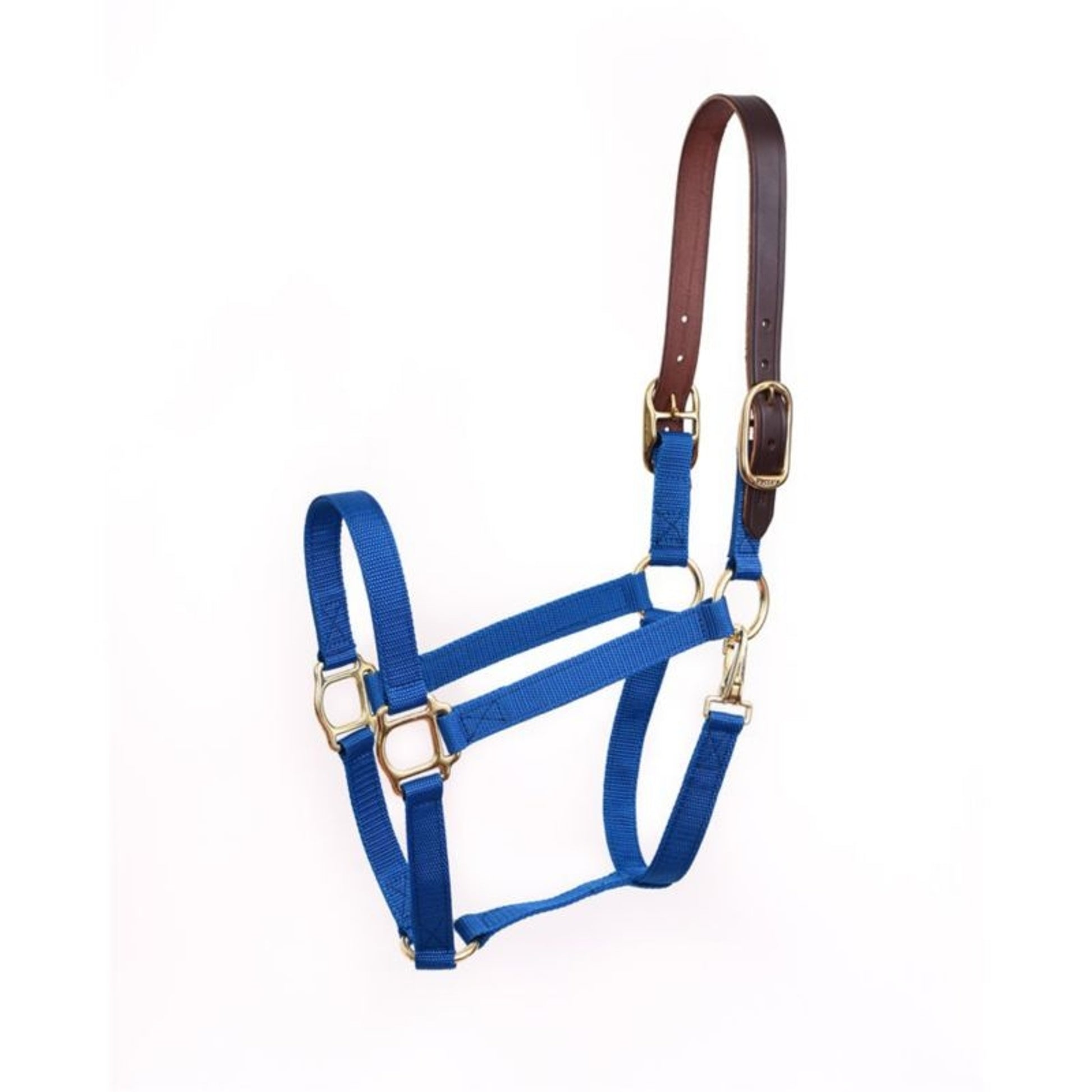 Perris Economy Safety Halter