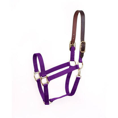 Perris Economy Safety Halter
