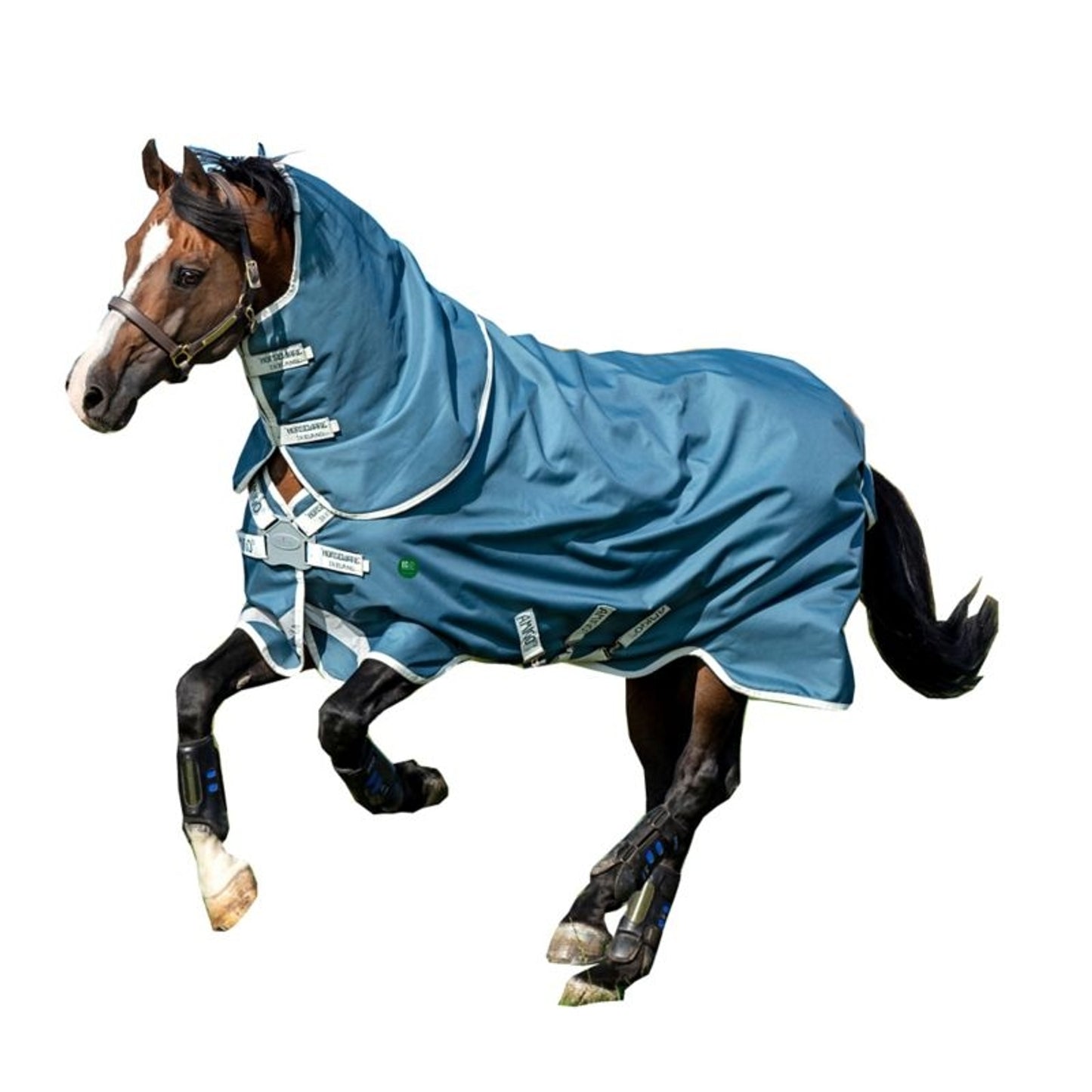 TE035359_P_WO.jpg