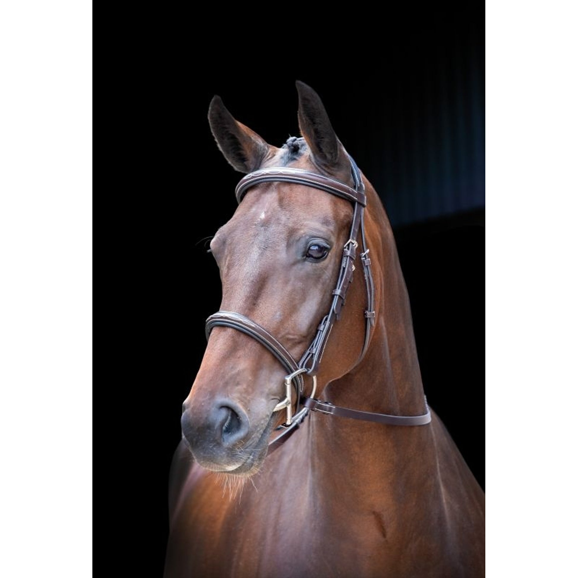 Velociti Hunter Bridle