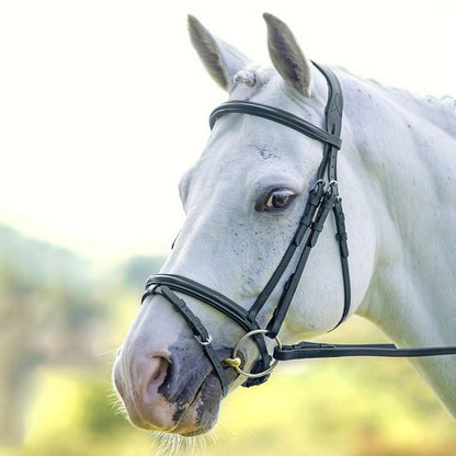 Velociti Padded Raised Flash Bridle