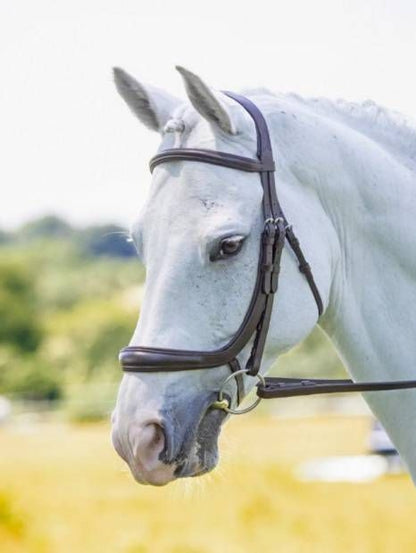 Shires Velociti Ergonomic Cavesson
