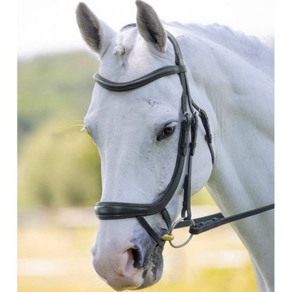 Velociti Ergonomic Curved Flash Bridle