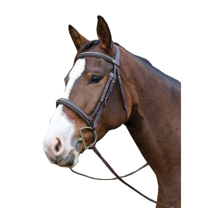 Shires Avignon Ocala Bridle