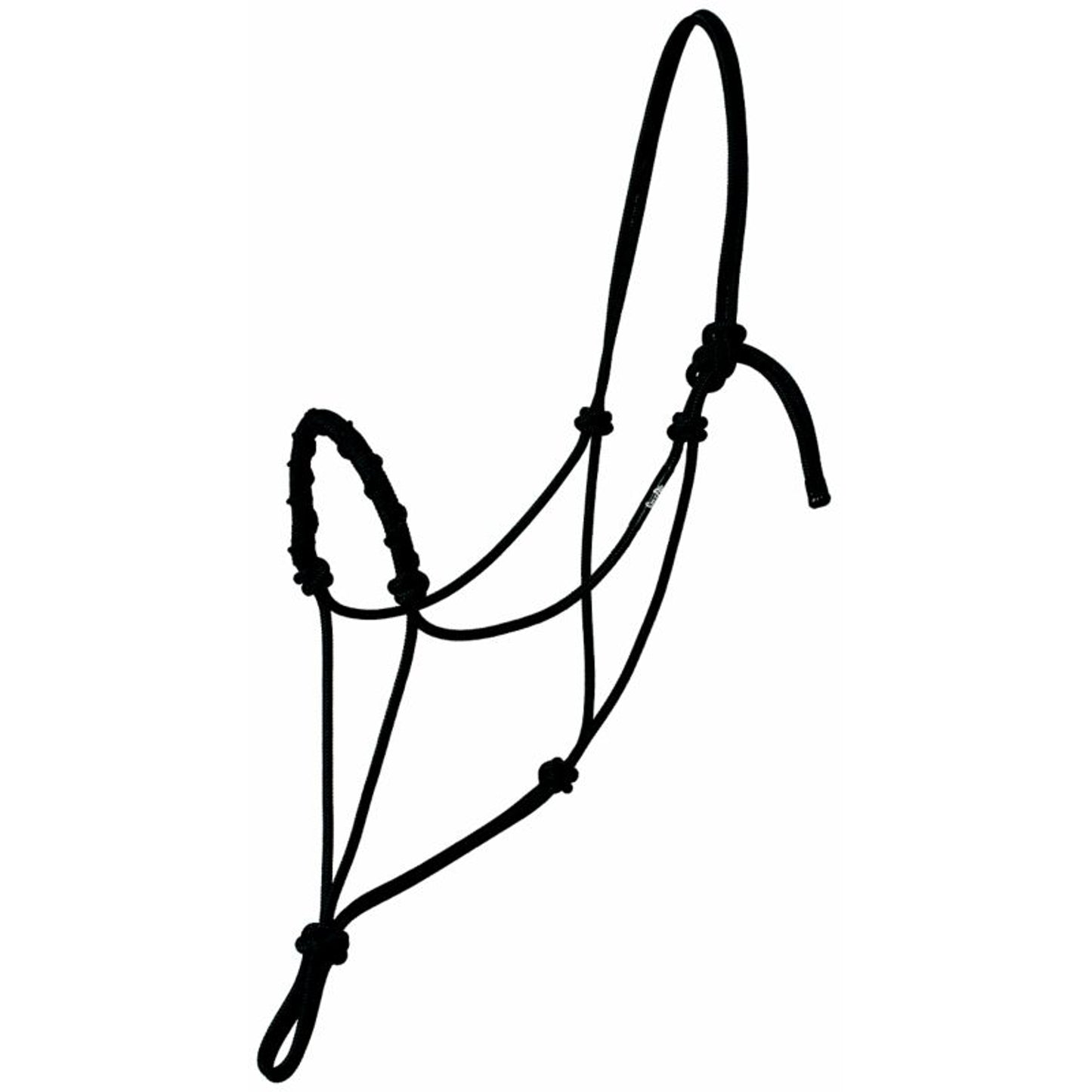 TE035680_881530.jpg