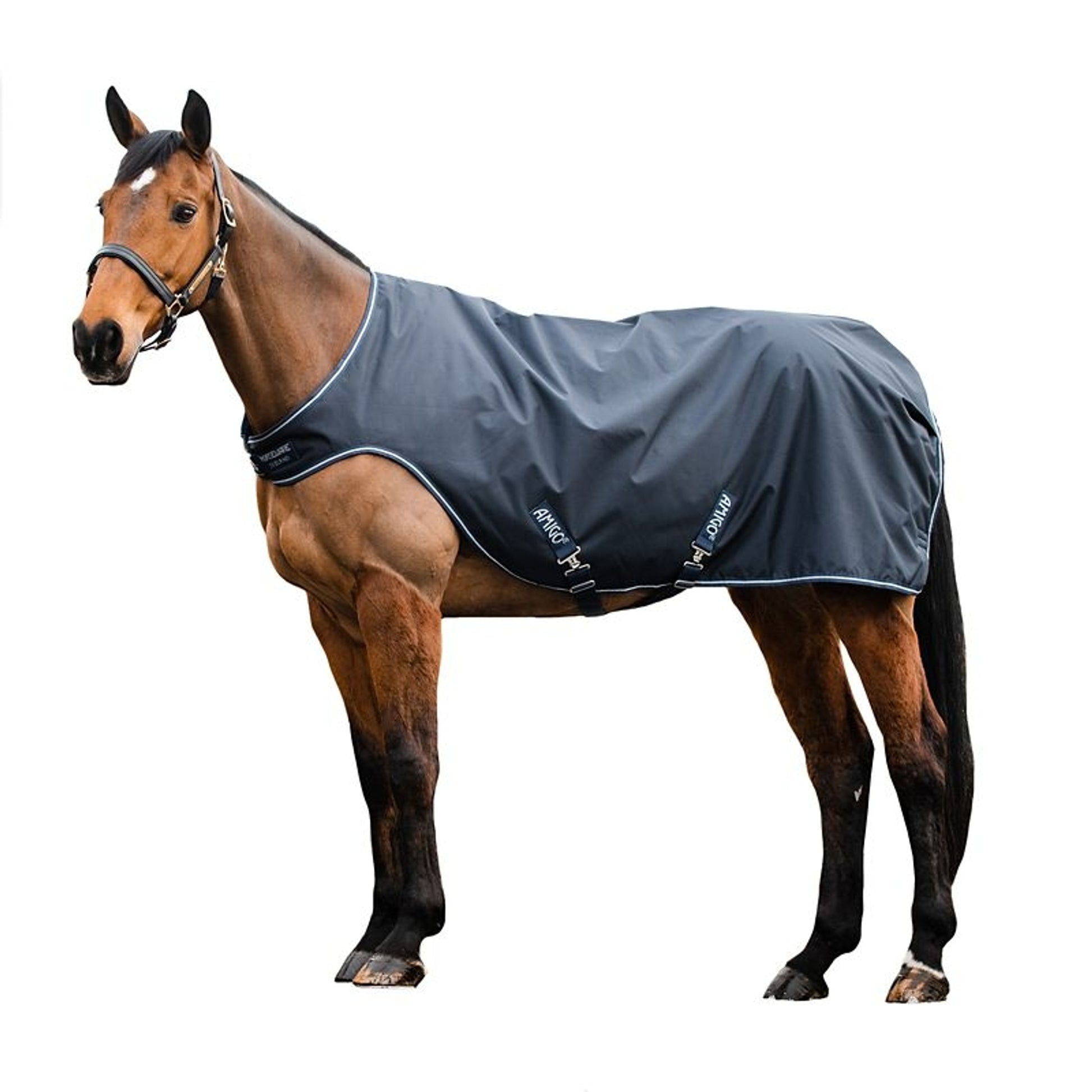 Amigo Walker 100g Sheet