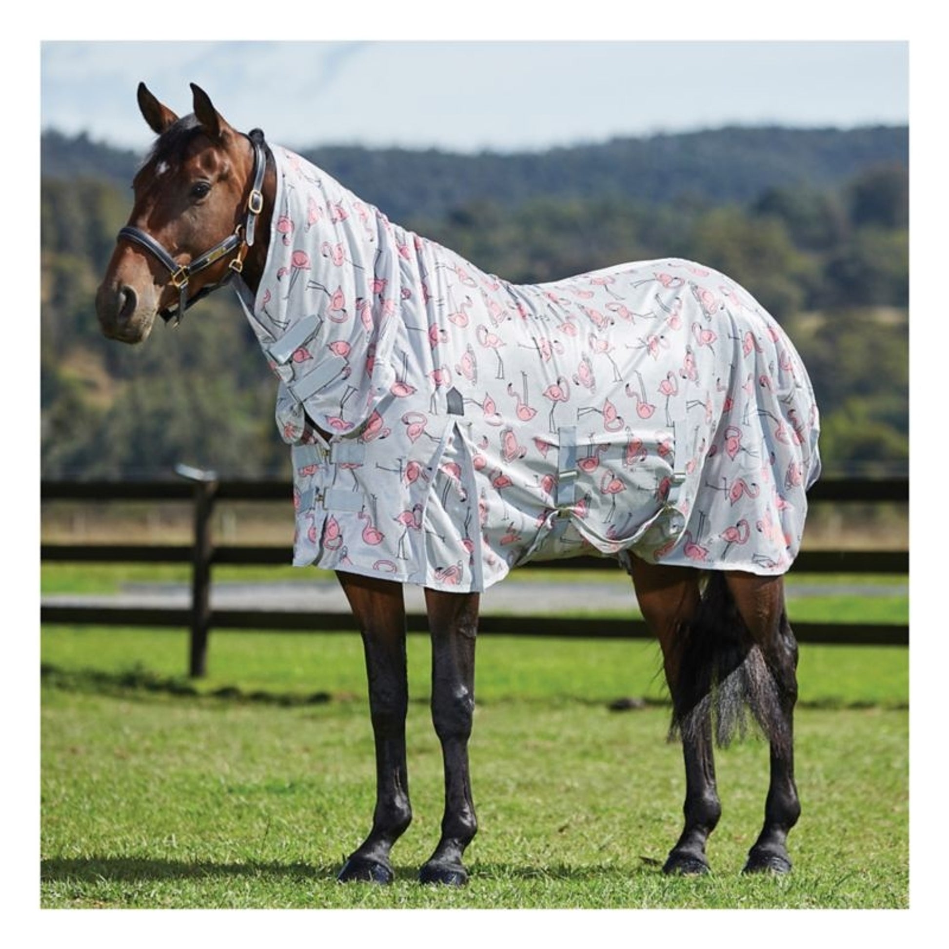 Saxon Mesh Combo Neck Fly Sheet
