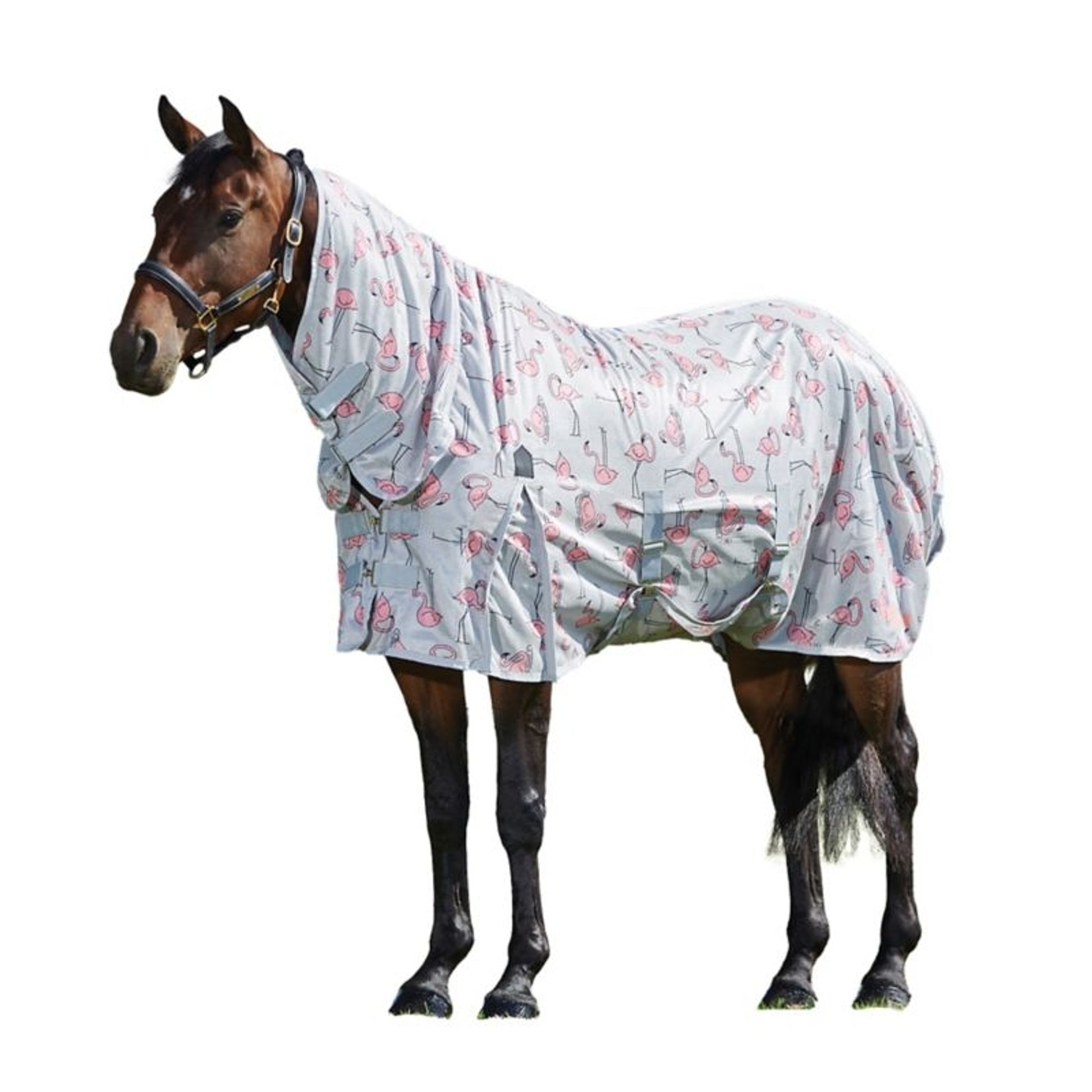 Saxon Mesh Combo Neck Fly Sheet
