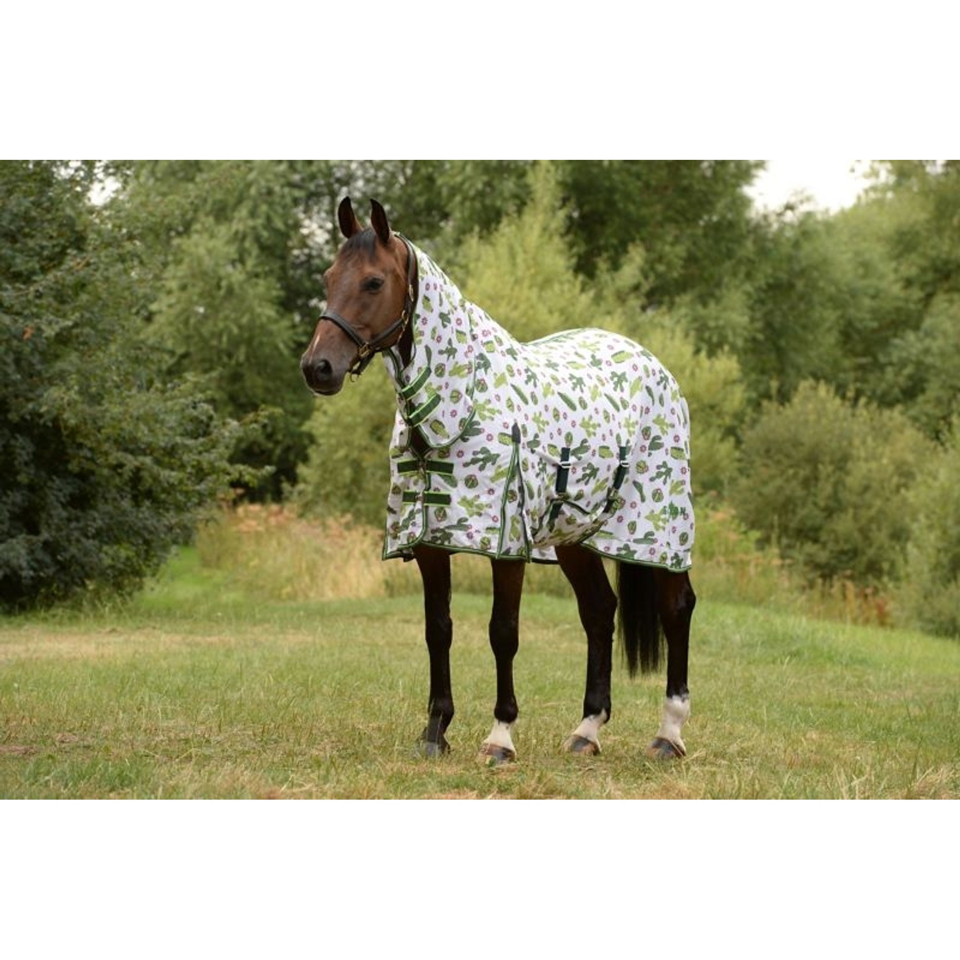 Saxon Mesh Combo Neck Fly Sheet