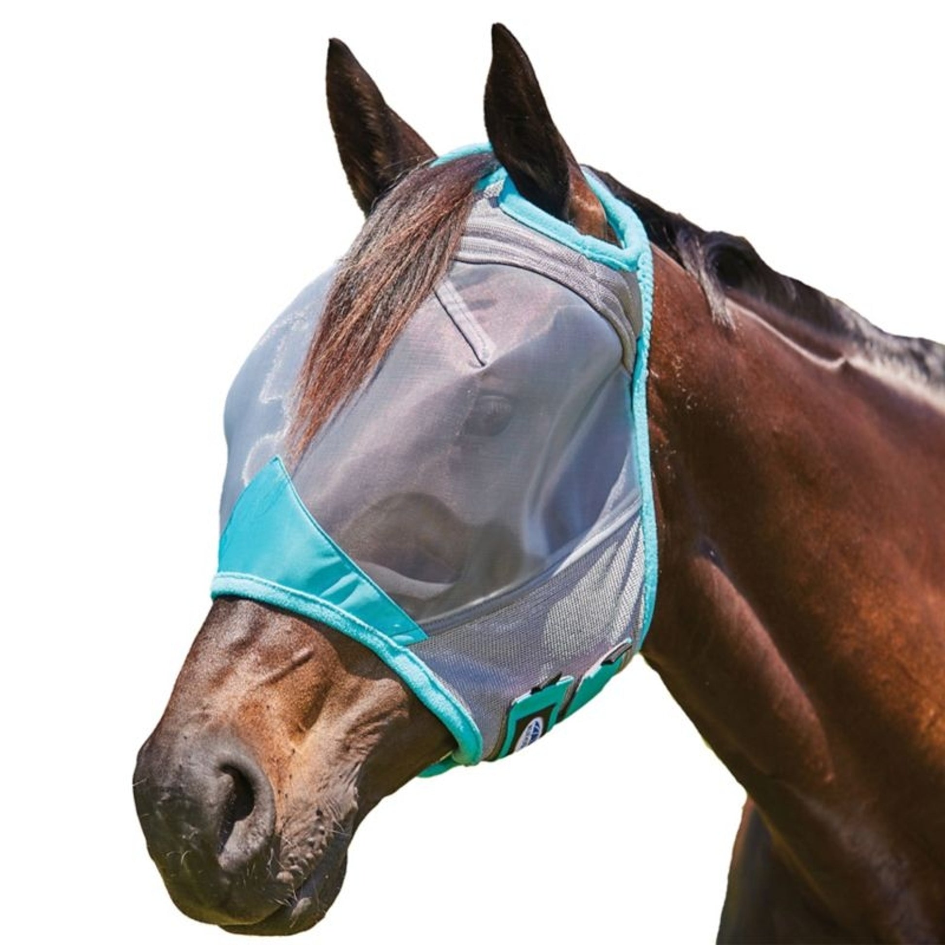WeatherBeeta ComFiTec Deluxe Fine Mesh Mask