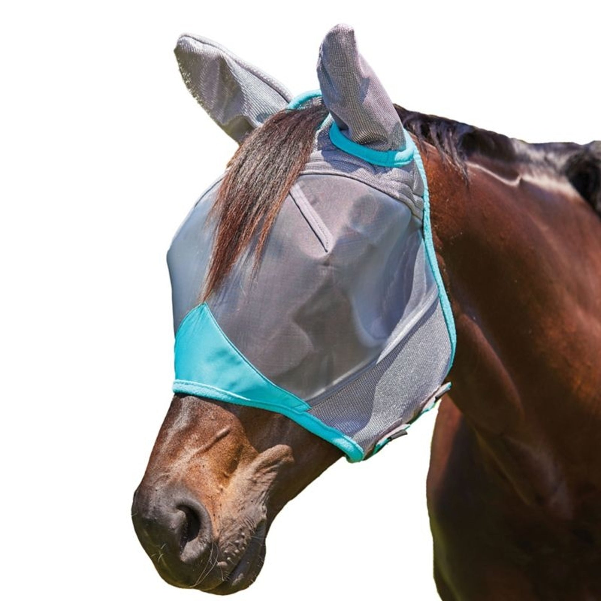 Fine Mesh Mask Weatherbeeta ComFiTec Deluxe Fine Mesh Mask With Ears– 1800PetSupplies.com