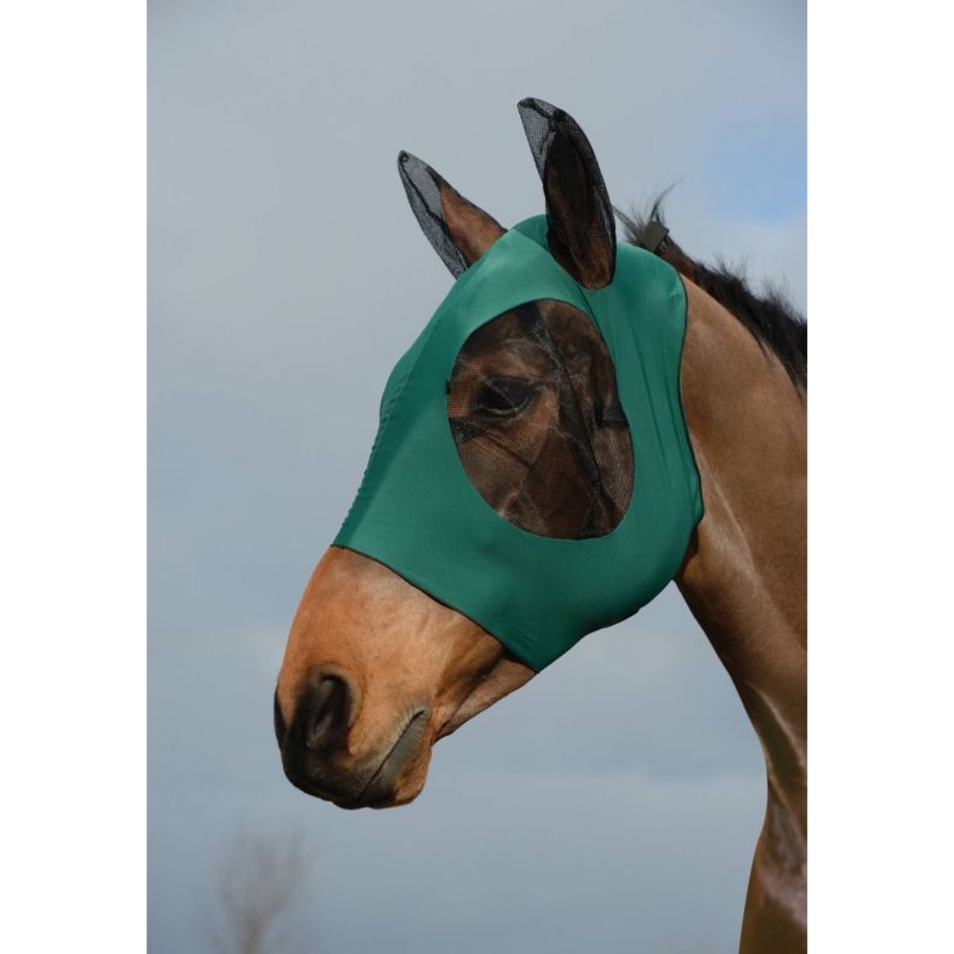 Weatherbeeta Deluxe Stretch Bug Eye Saver With Ears