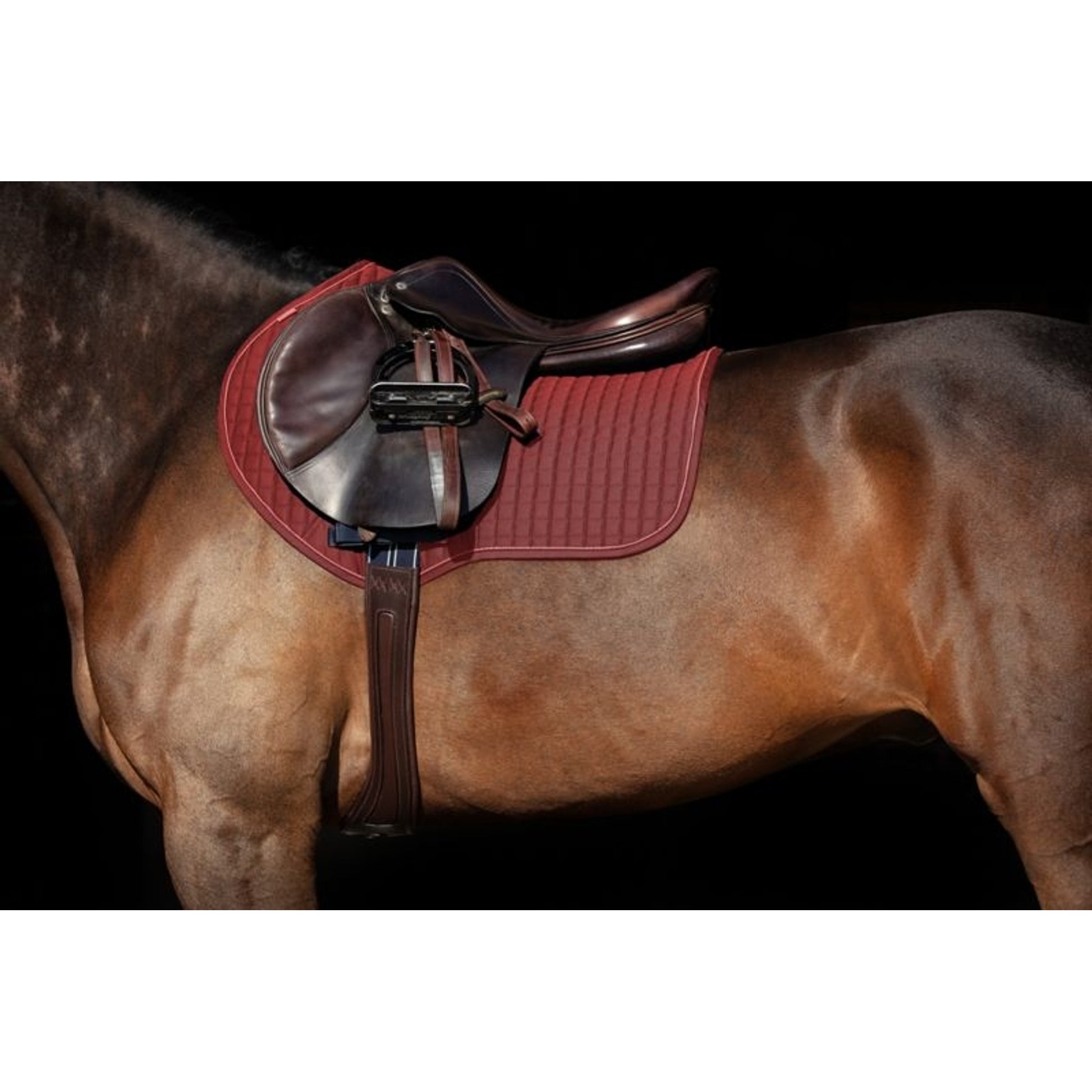 Rambo Micklem Long Comfort Girth