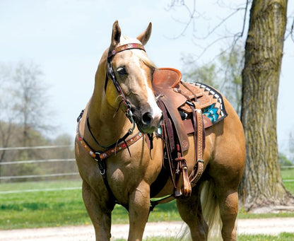 Weaver Turq Cross Floral Vine Browband Headstall