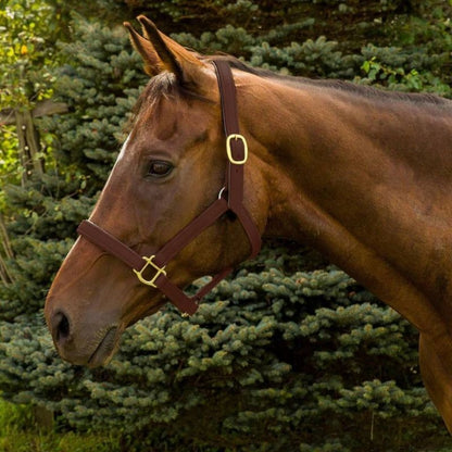 HDR Vegan-X Leather Halter