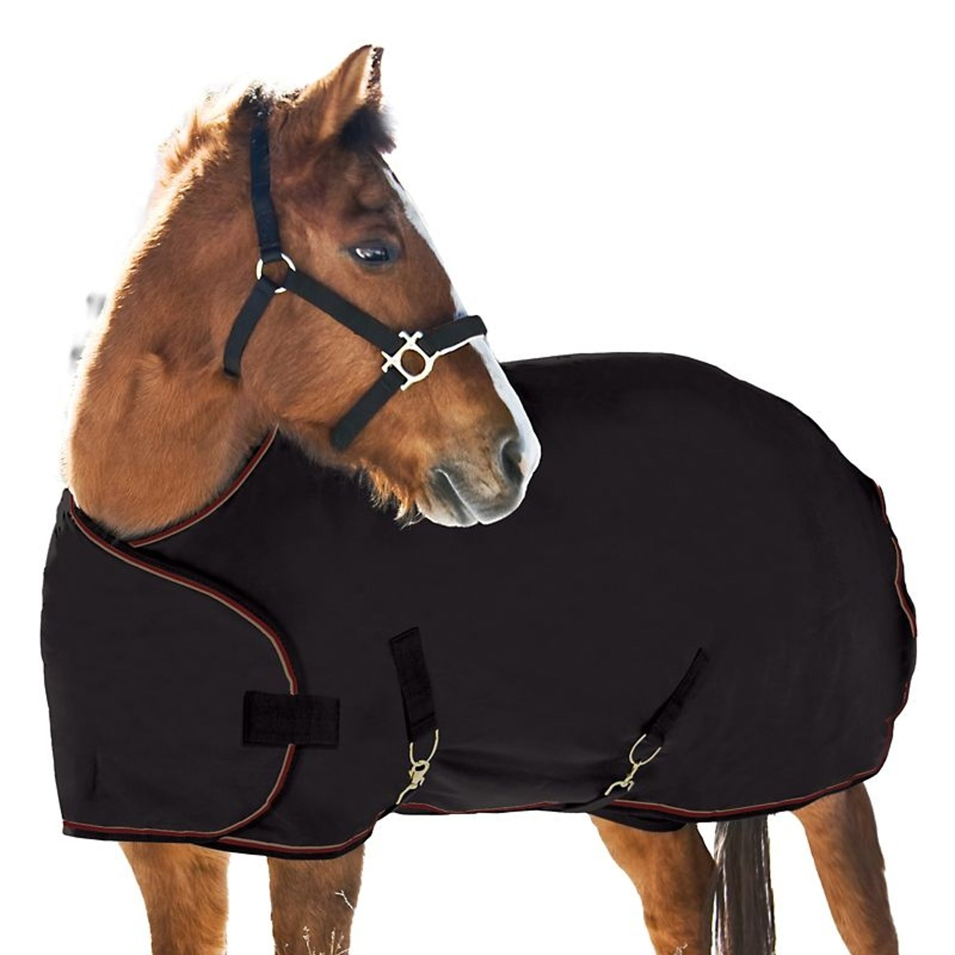 Kensington 1200D Weanling Turnout 180g