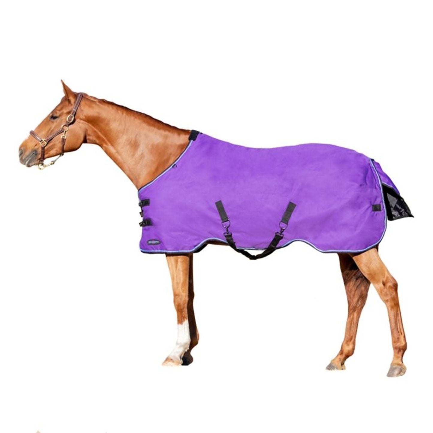 TE036580_891743_WO.jpg