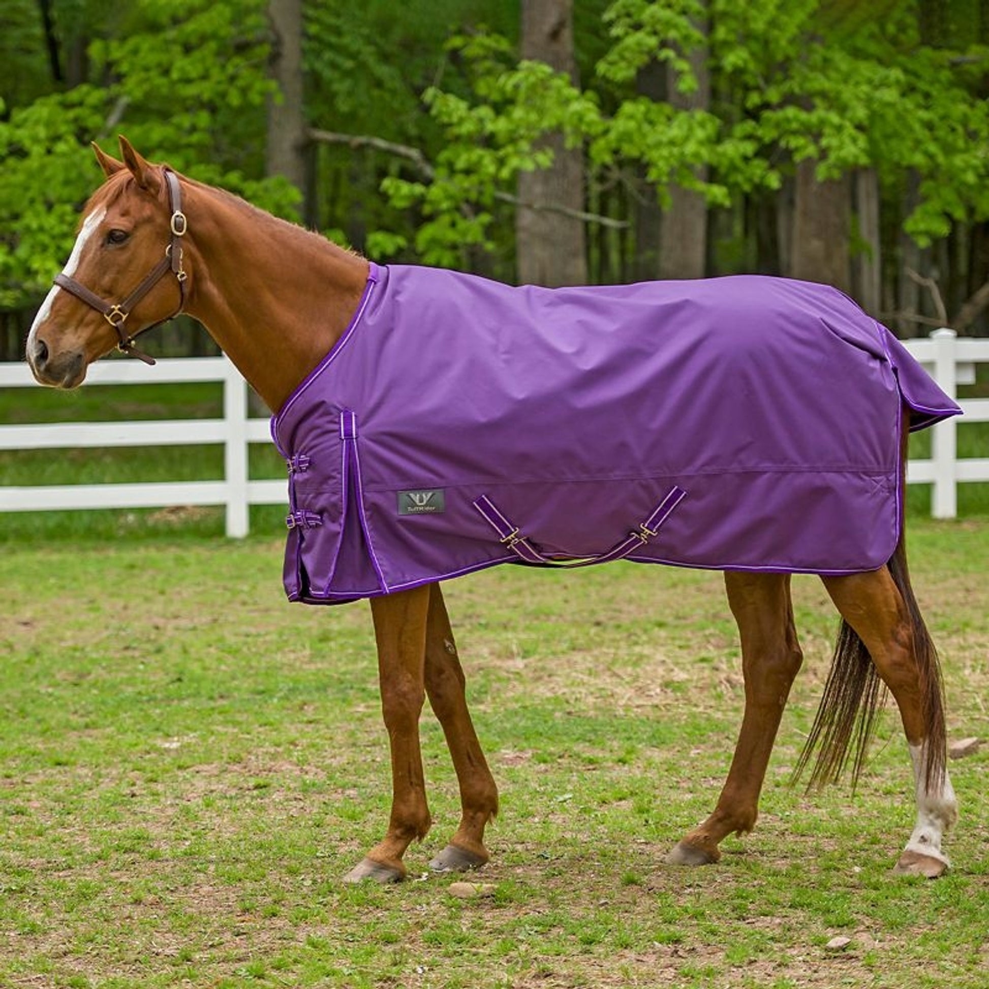 TuffRider 1680D Super Comfy Medium