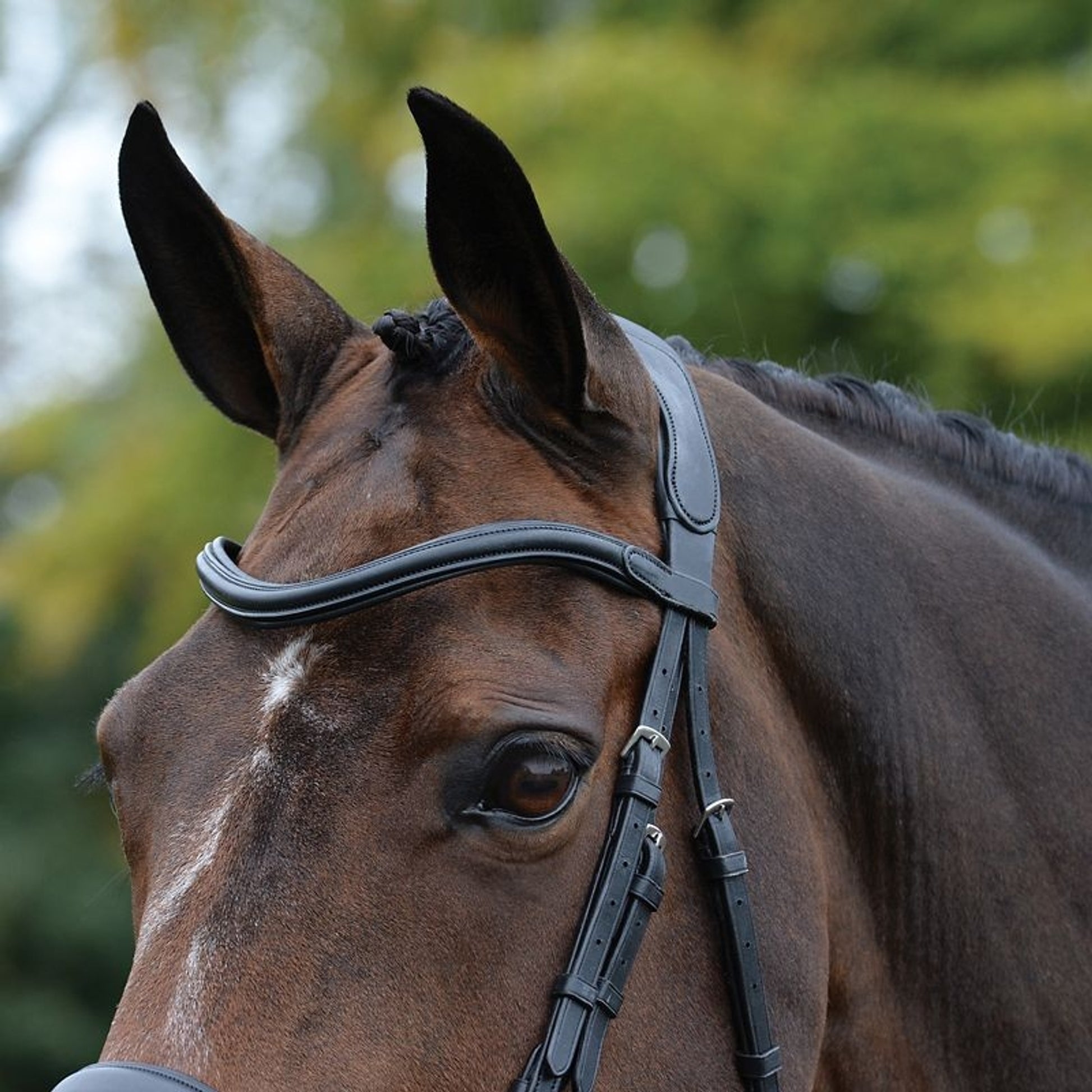 Collegiate Comfitec Vogue Bridle
