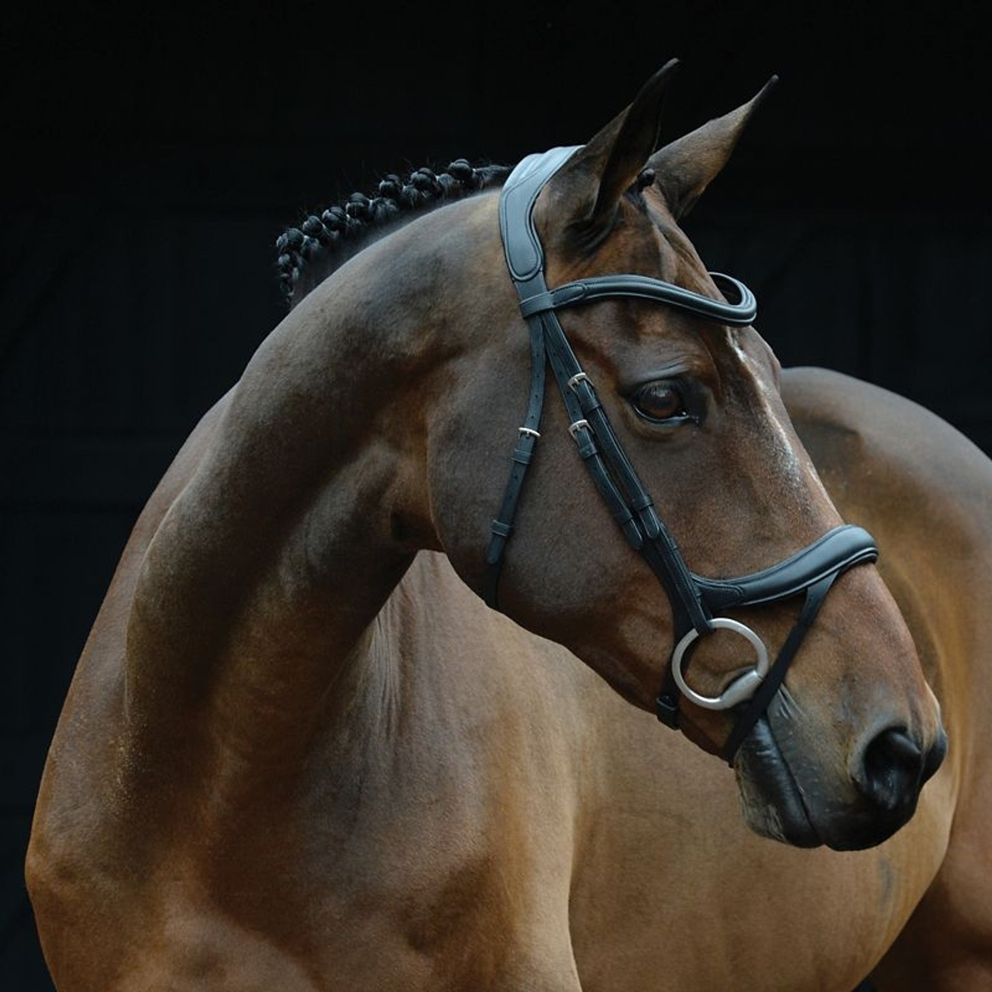 Collegiate Comfitec Vogue Bridle