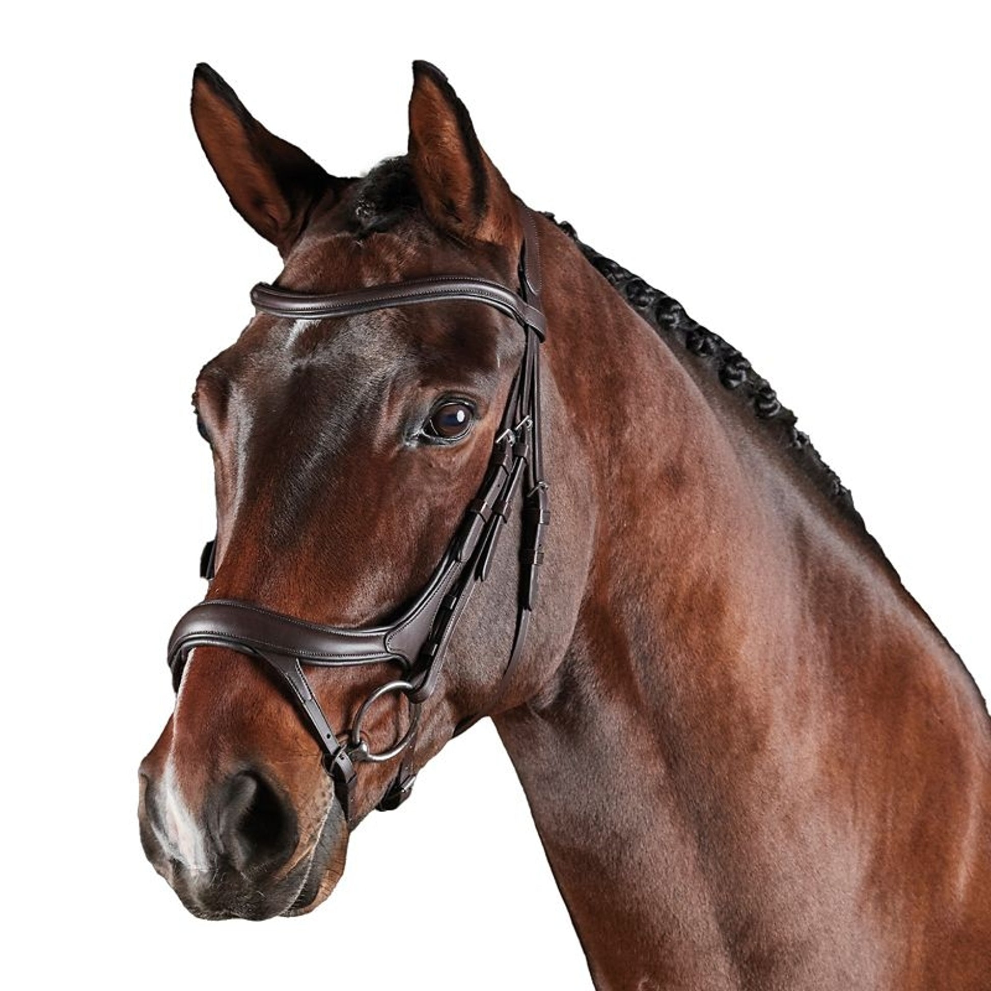Collegiate Comfitec Vogue Bridle