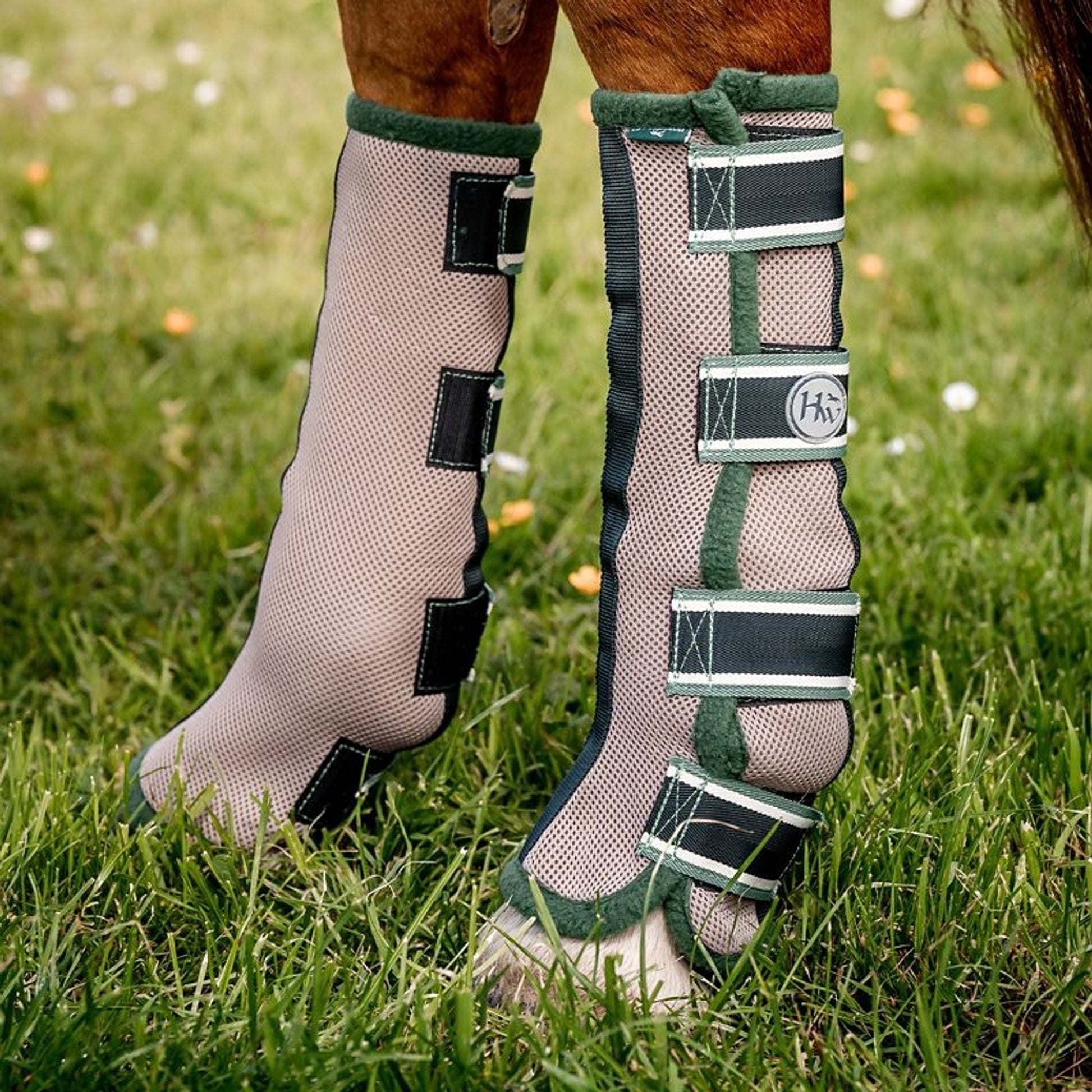Horseware Flyboots