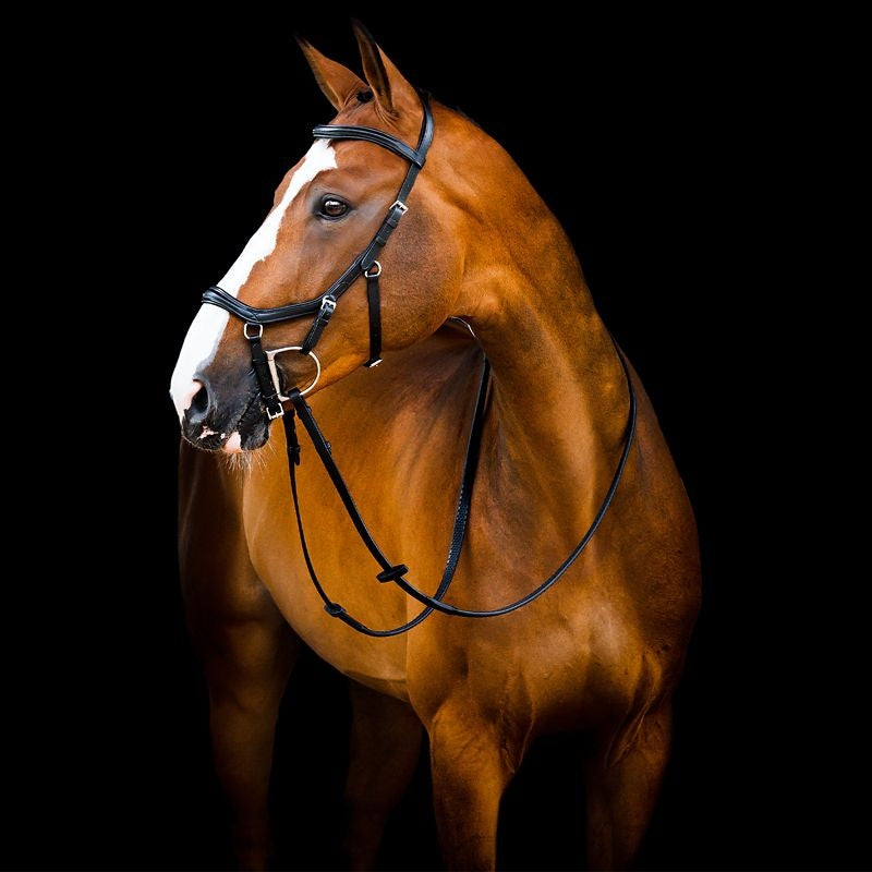 Micklem 2 Dlx Competition Bridle