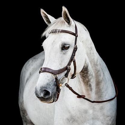 Horseware Micklem 2 Multi Bridle