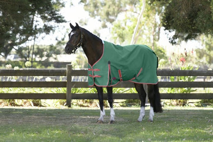 Weatherbeeta ComFiTec Prelim Standard Neck Medium