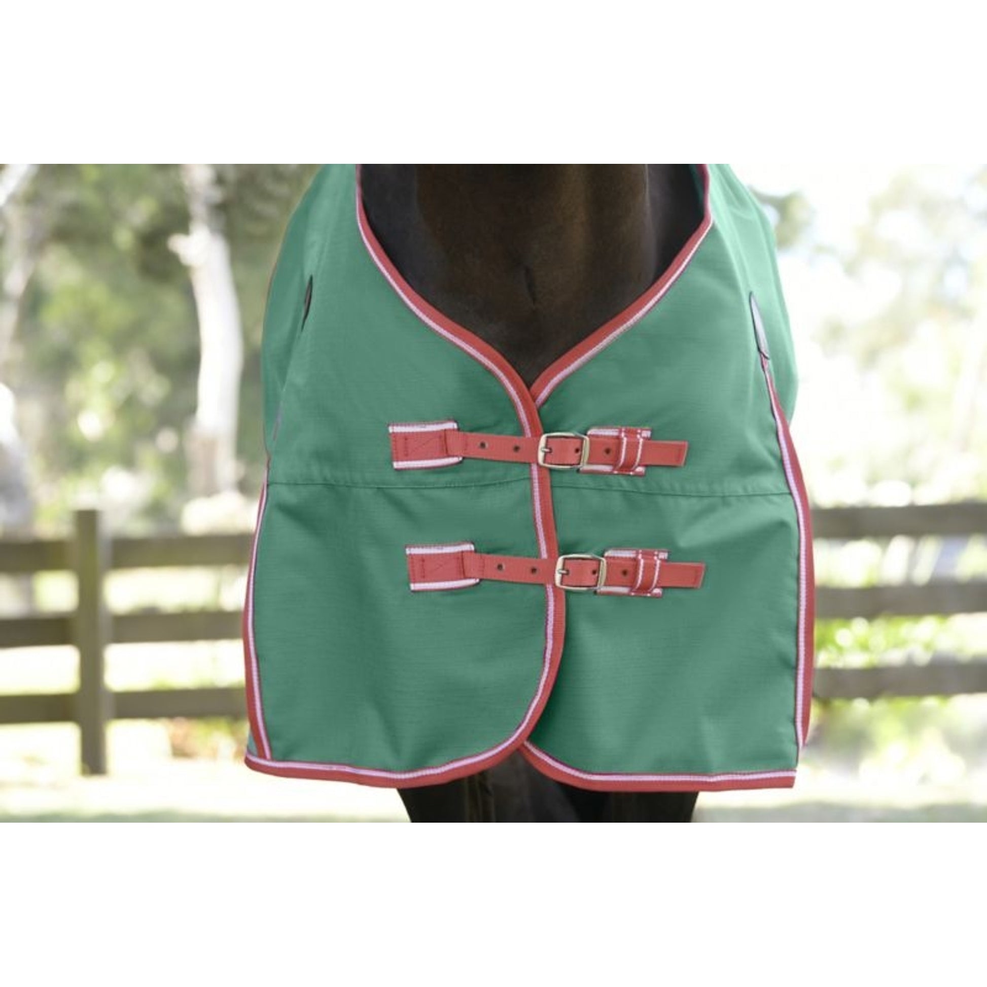 Weatherbeeta ComFiTec Prelim Standard Neck Lite