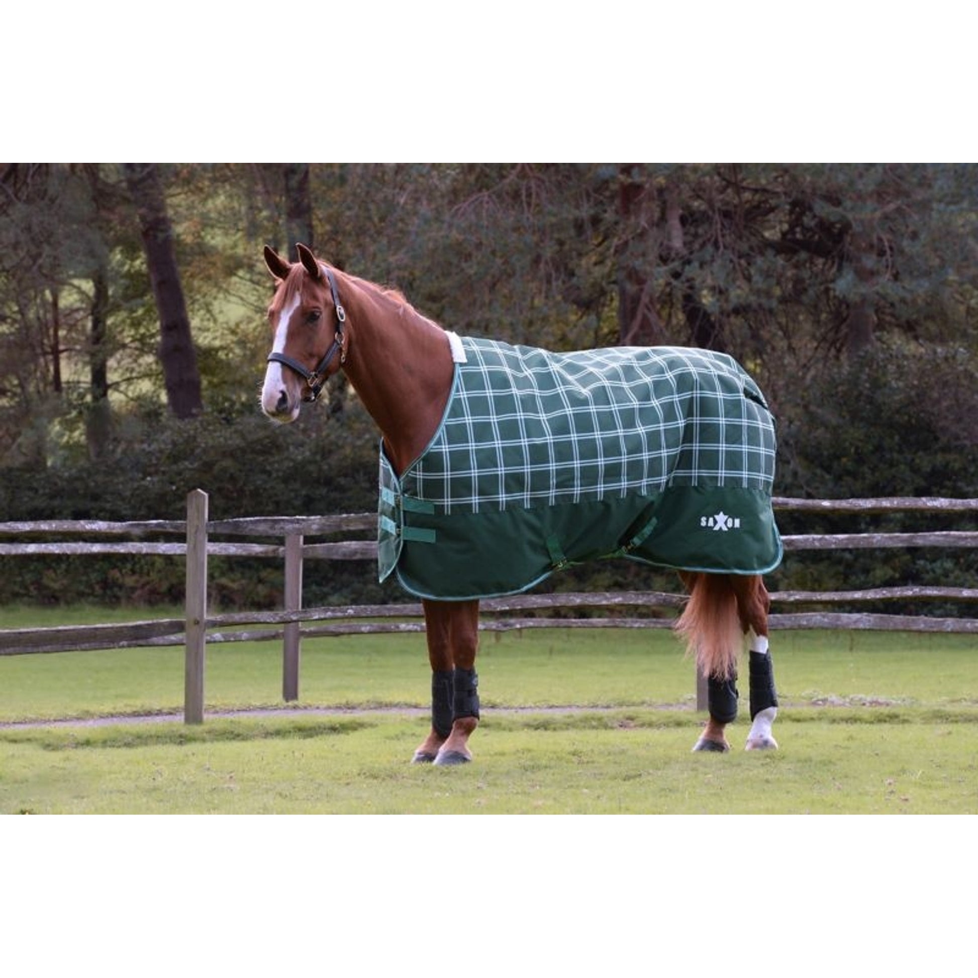 Saxon Defiant 1200D Stand Lite TO