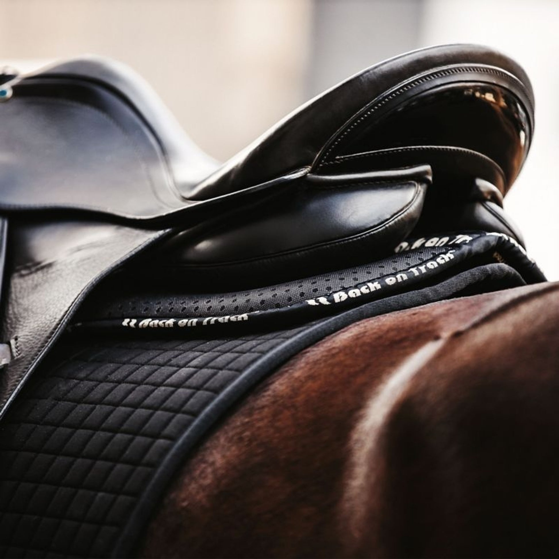 Back on Track Aurora Impact Half Pad