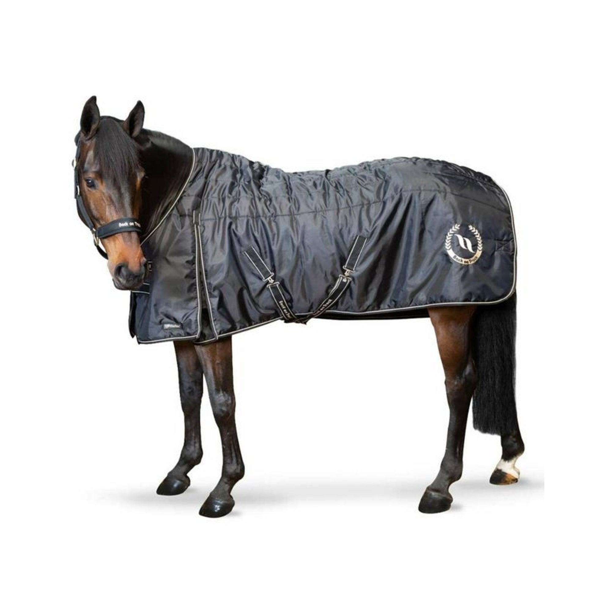 Back on Track Millie Stable Blanket