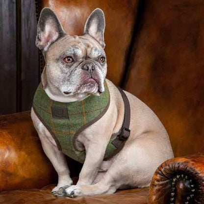 Shires Digby/Fox Tweed Dog Harness