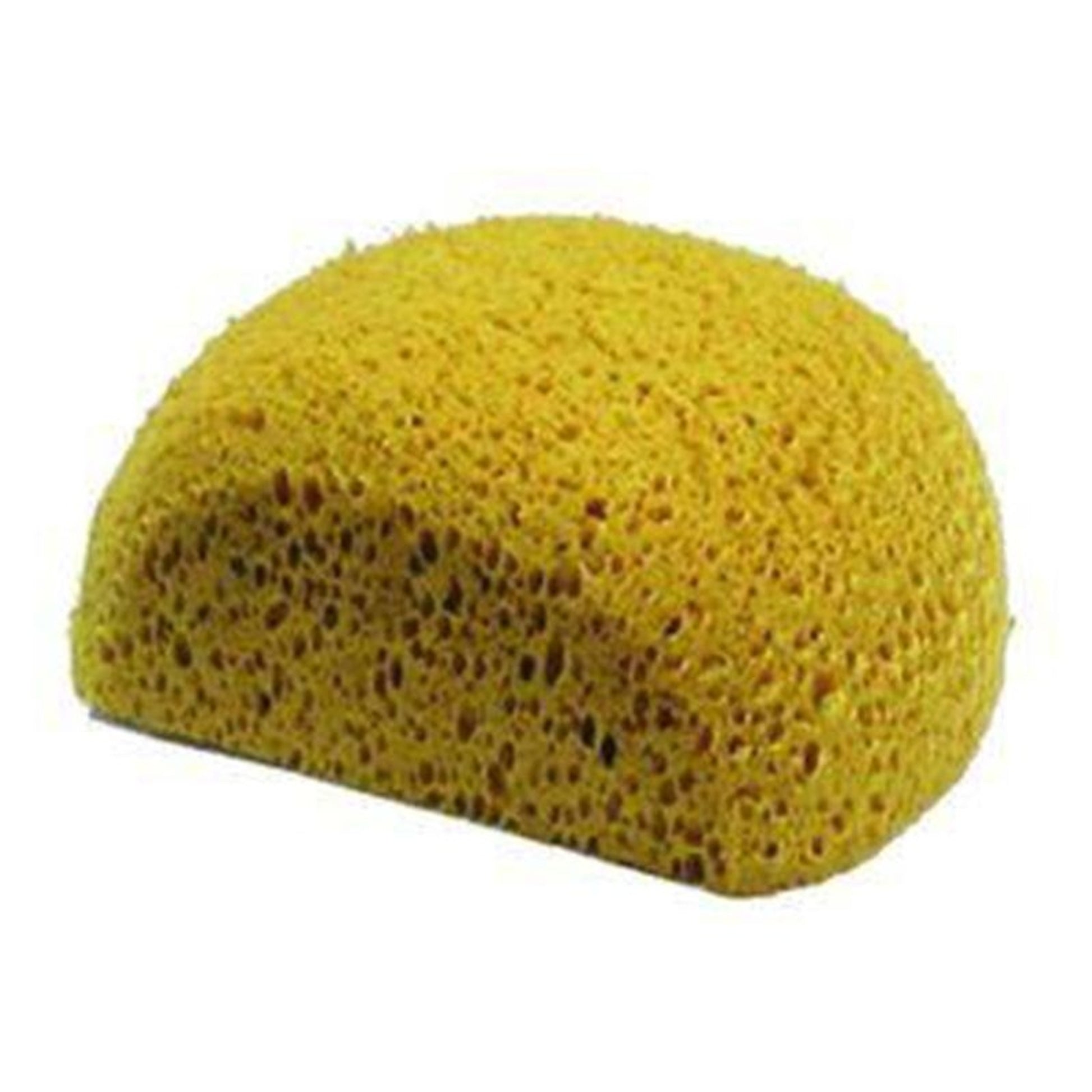 Turtle Back Sponge Natural
