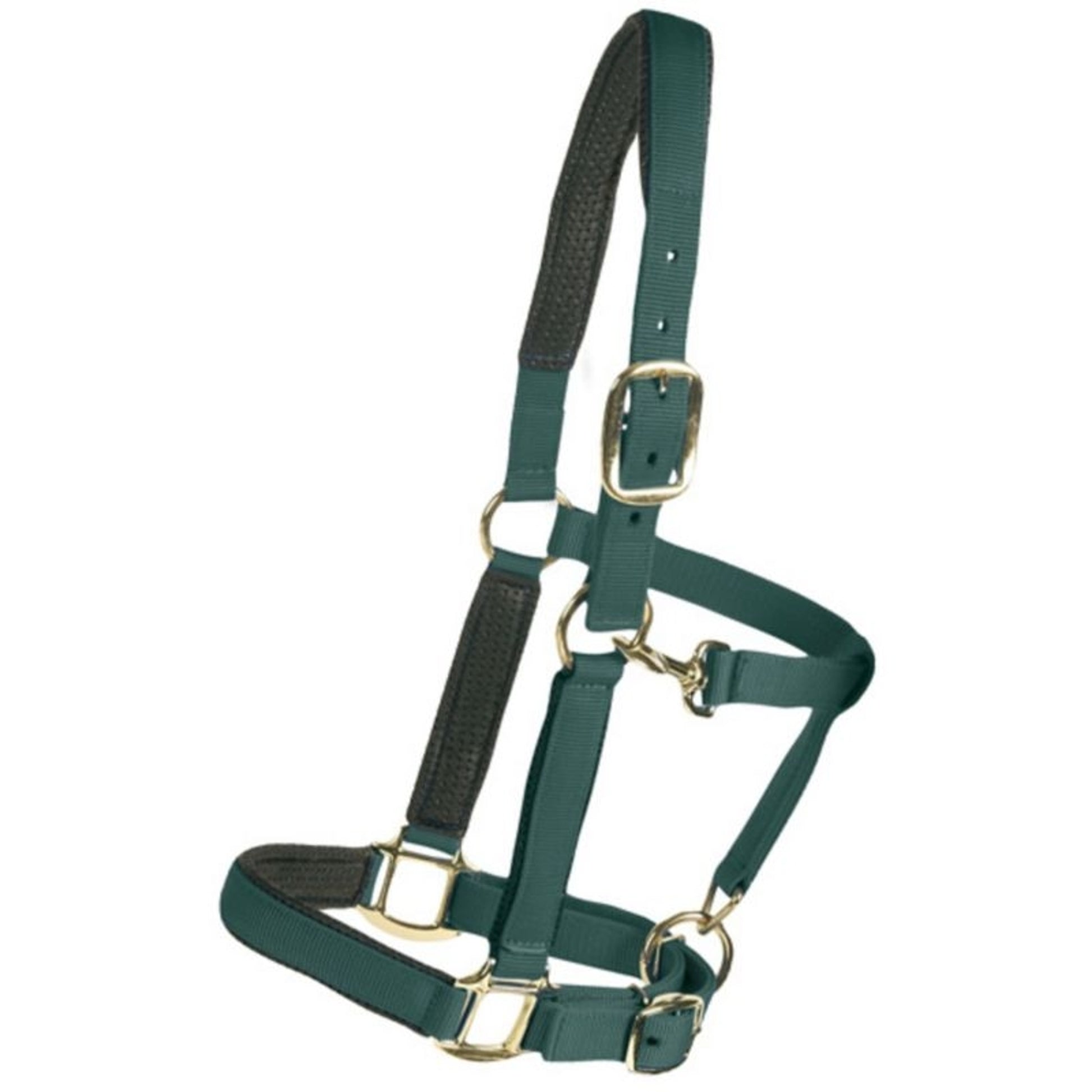 Centaur Super Padded Comfort Halter