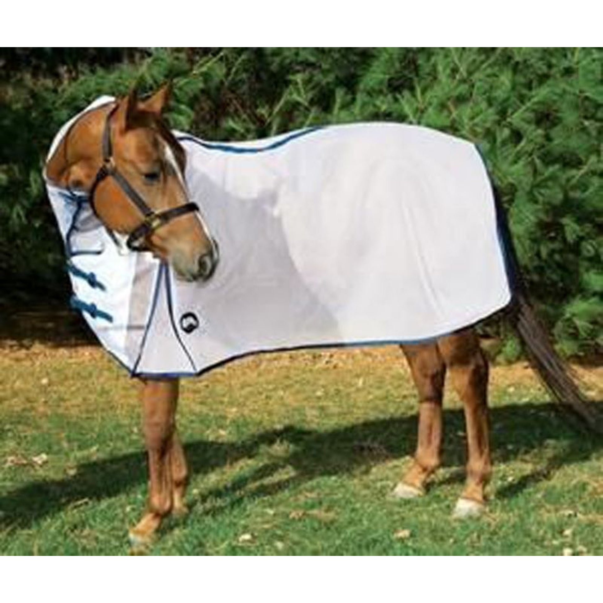 Weaver Micro-Mesh Fly Sheet