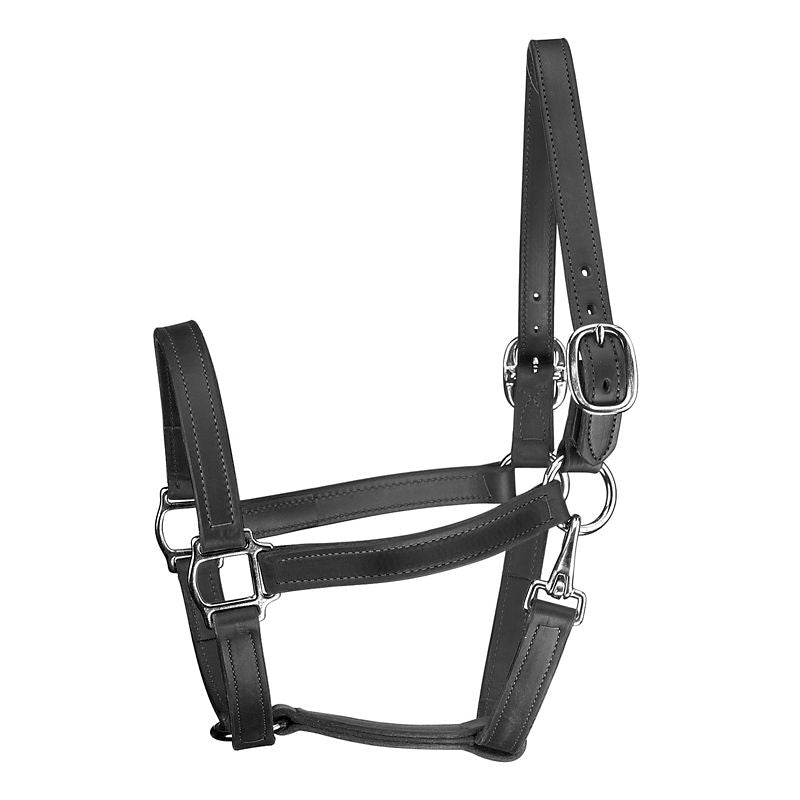 Perris 1In Track T/O Halter with Snap
