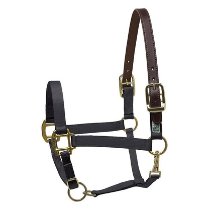 Perris Nylon Safety Halter