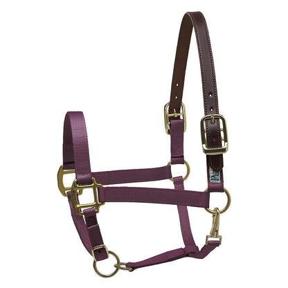 Perris Nylon Safety Halter