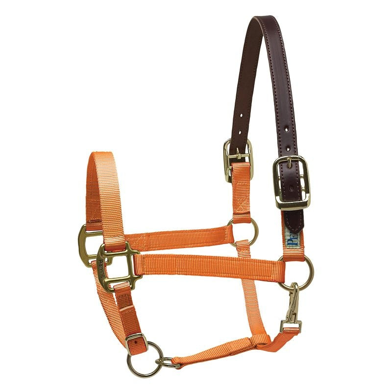 Perris Nylon Safety Halter