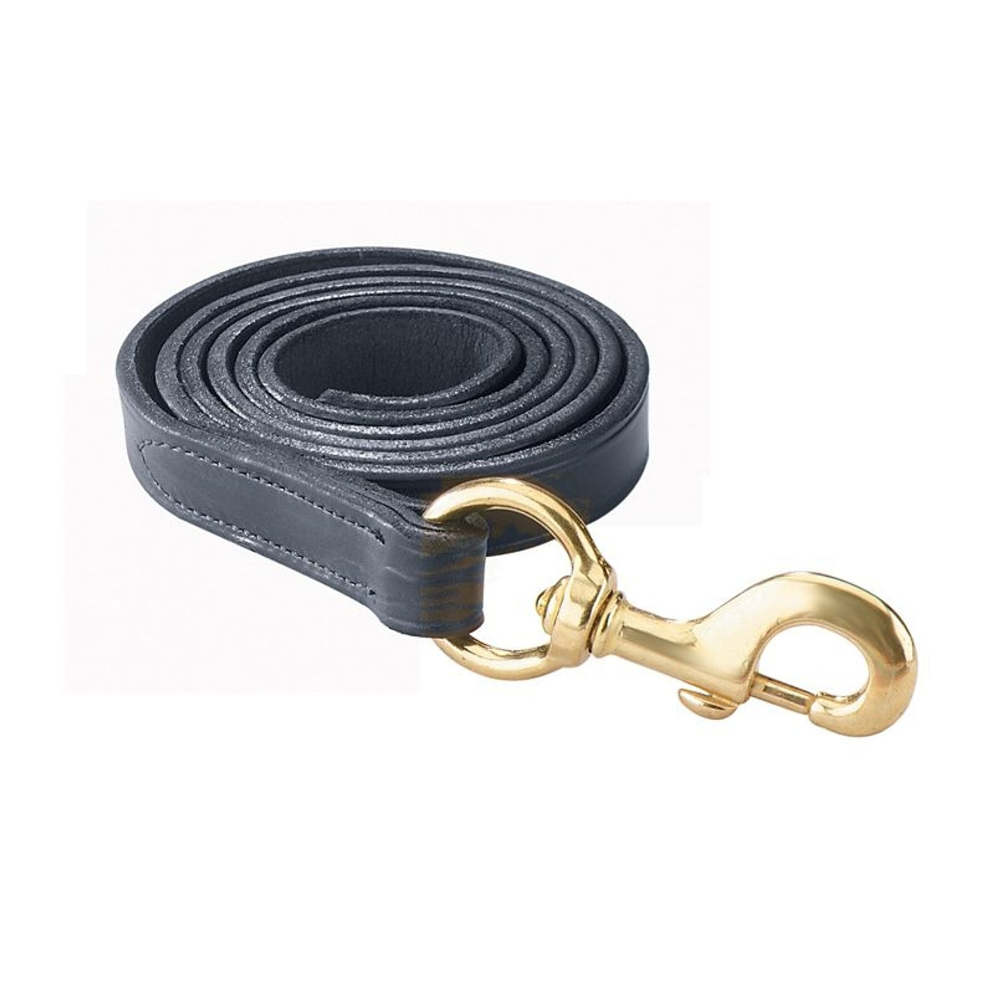 Perris 6Ft Leather Lead with Snap