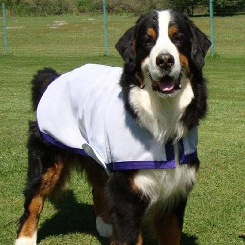 Saratoga Horseworks K9 Kool Coat 8 White/Black