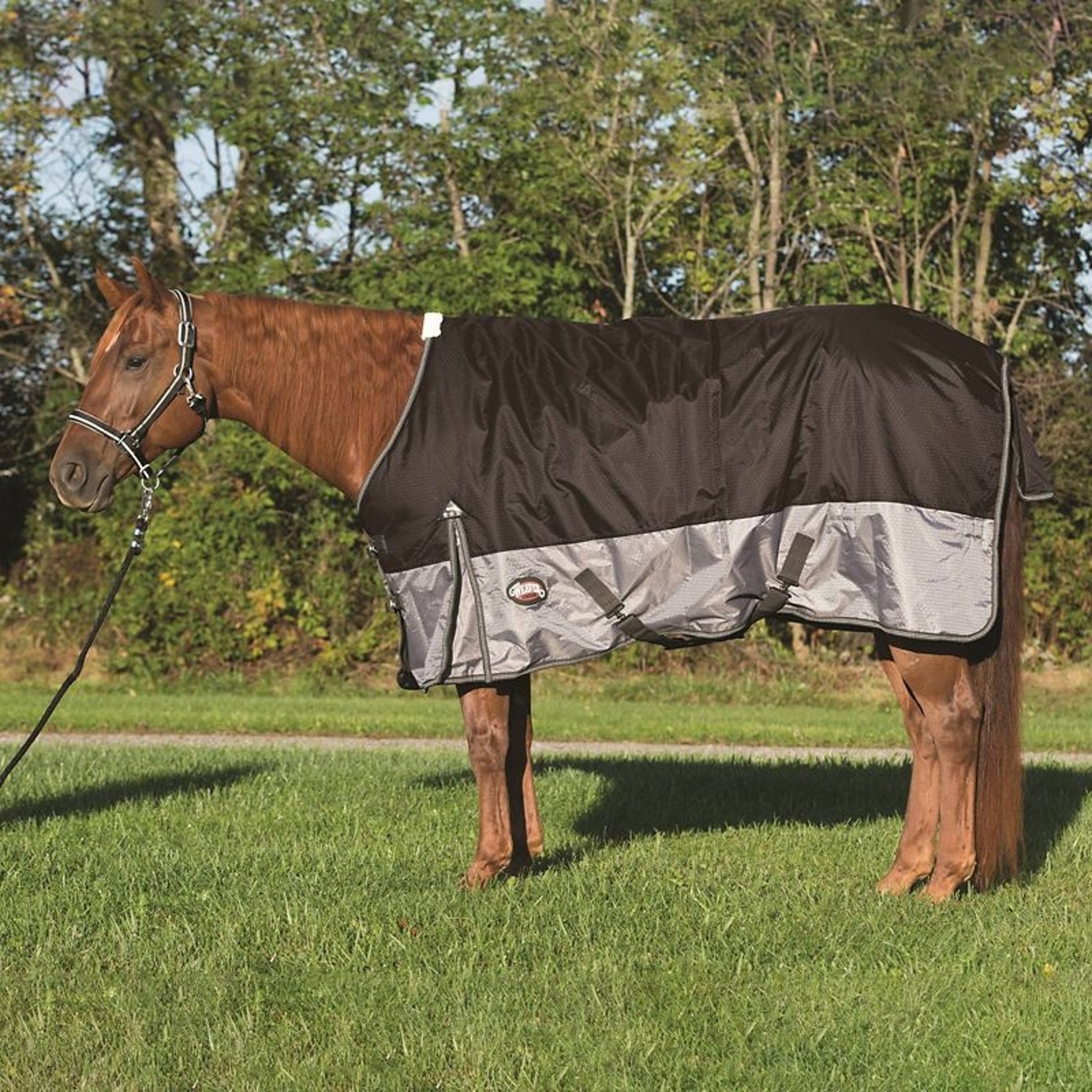 Weaver Premium 600 D Rainsheet with Mesh