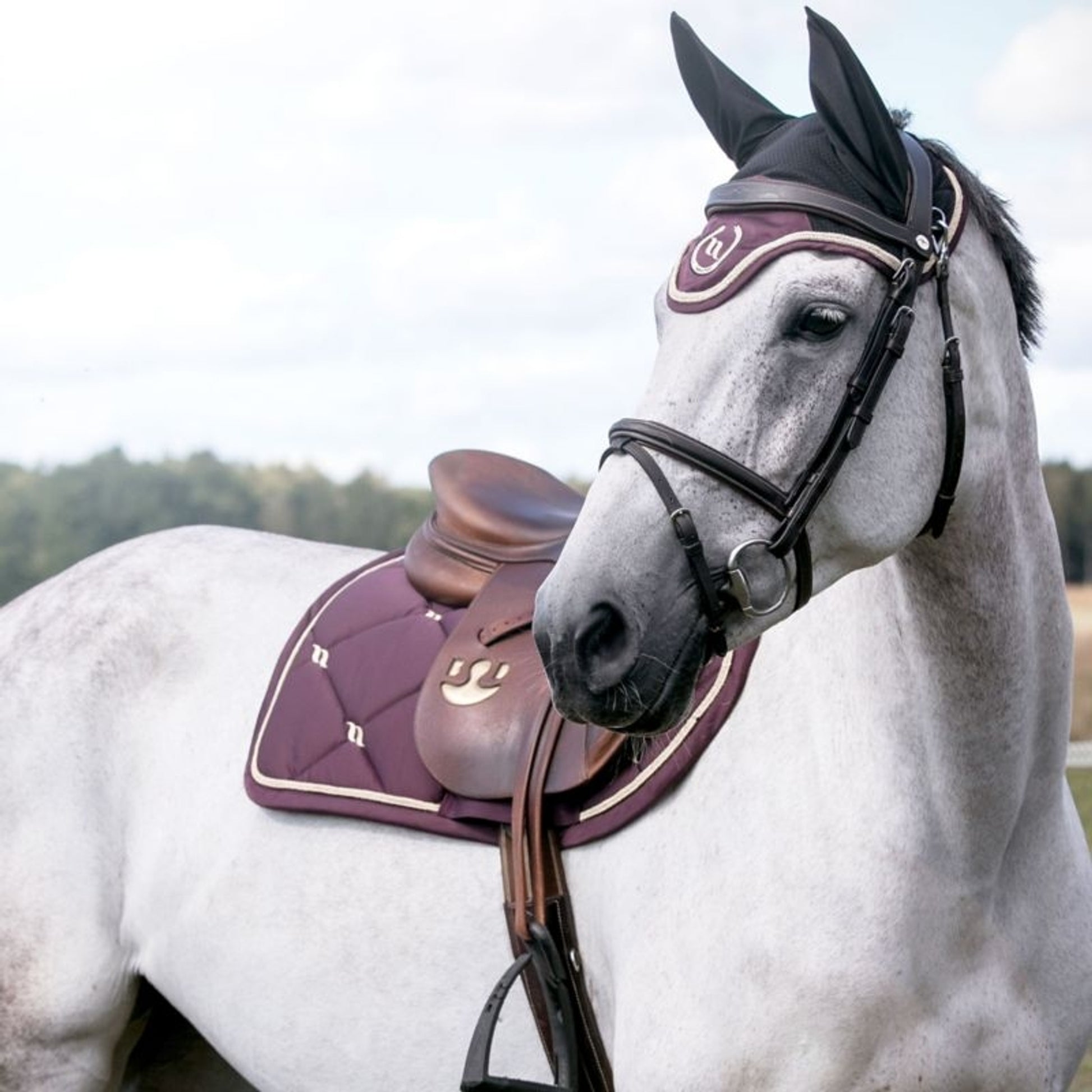 Back on Track Nights Collection Dressage Pad